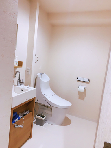 Bathroom 4, Akinoryokan, Taitō