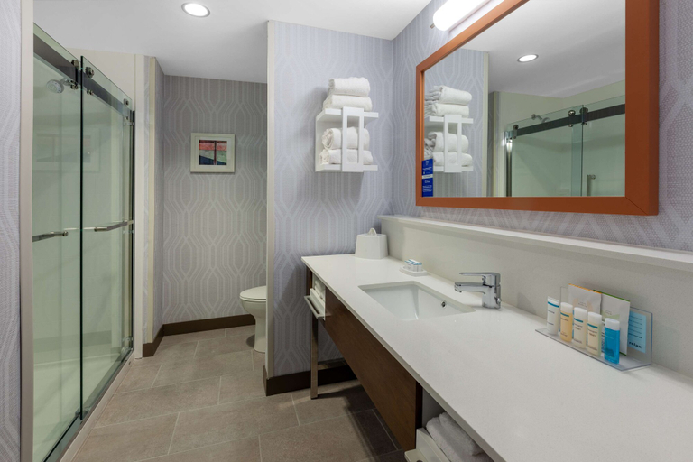 Bathroom 5, Hampton Inn & Suites Bloomfield Hills Detroit, Oakland