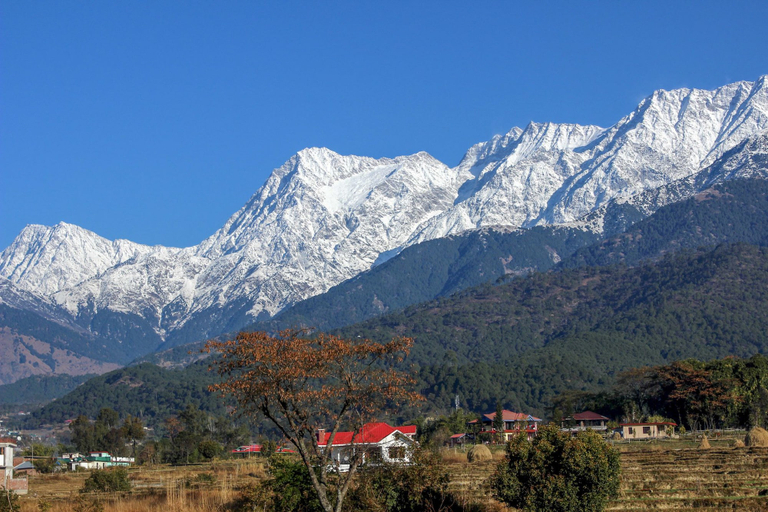 Others 1, Pushpangan Menage, Kangra