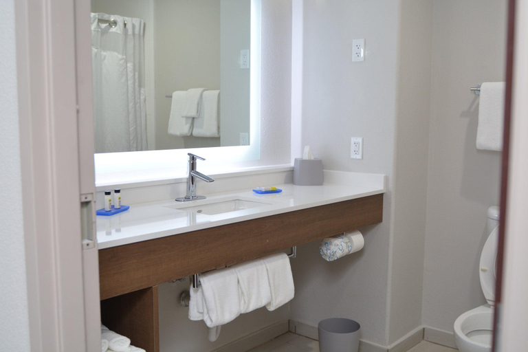 Bathroom 2, Holiday Inn Express Seguin By IHG, Guadalupe