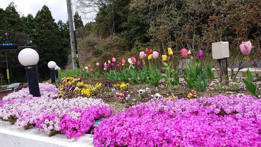 Others 5, Lake&Forest Flower Villa Hotel, Sagamihara