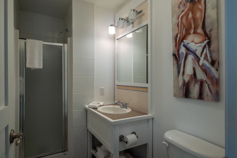 Bathroom 3, Tremblant-Les-Eaux - RVMT, Les Laurentides