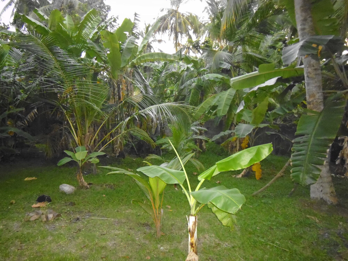 Others 5, Mama's Villa by Taprobane - Hostel, Negombo