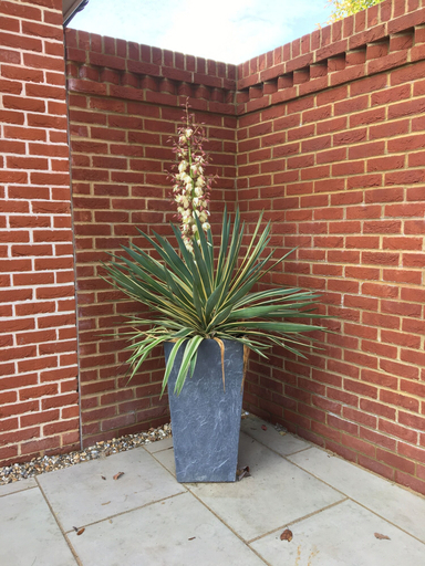 Others 5, Charming 1-bedroom Apartment Near Hailsham, East Sussex