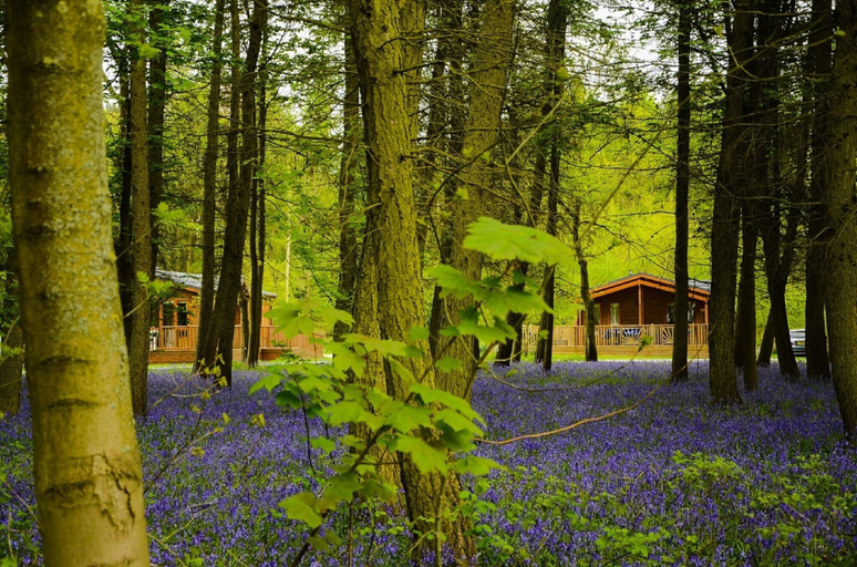 Exterior & Views 2, Hollicarrs - Stag Lodge, North Yorkshire