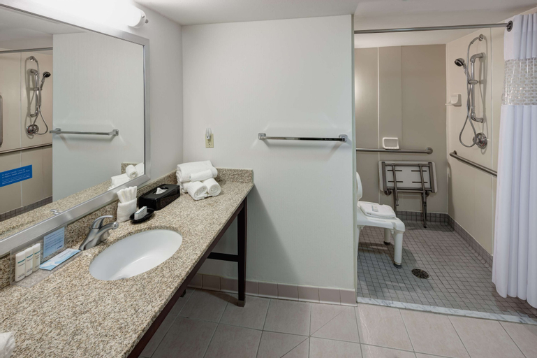 Bedroom 4, Hampton Inn St. Louis-Downtown (At the Gateway Arch), Saint Louis