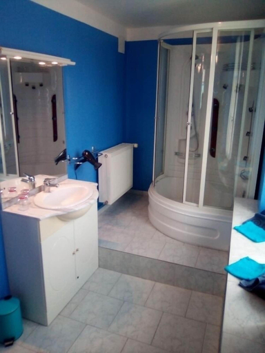 Bathroom 5, L'Octodon, Indre-et-Loire