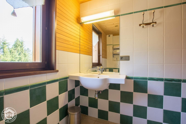 Bathroom 5, Le Bois des Louison, Haute-Savoie