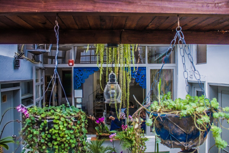 Exterior & Views 2, Posada del Maple - Hostel, Quito