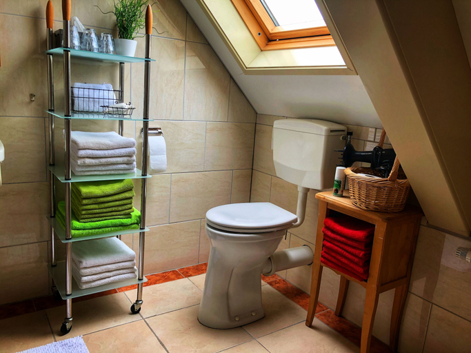 Bathroom 4, B&B Zandhuizen, Weststellingwerf