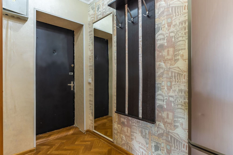 Others 5, Apartment Hanaka 1-ya Vladimirskaya 18, Eastern
