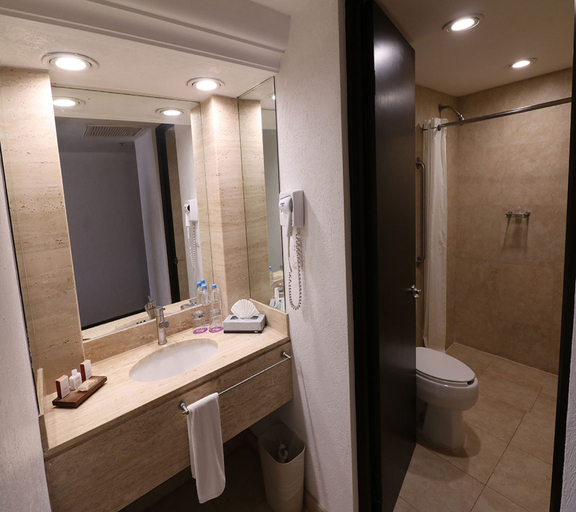 Bathroom 4, Hotel Misión Torreón, Torreón