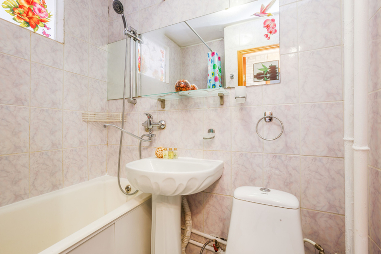 Bathroom, Inndays Kolomenskaya, Southern