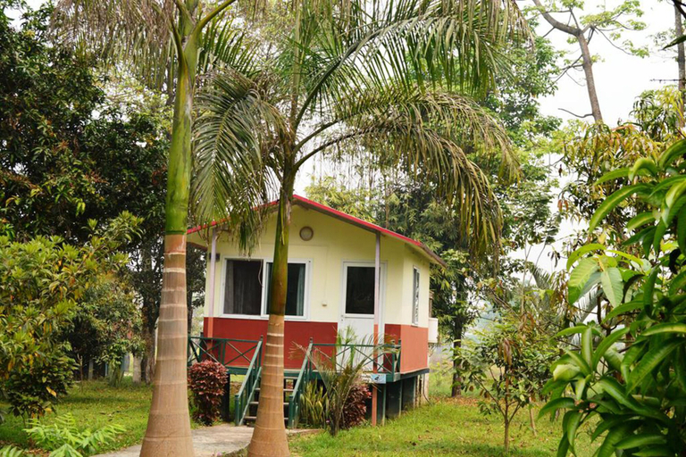 Exterior & Views 2, Chitwan Paradise Hotel, Narayani