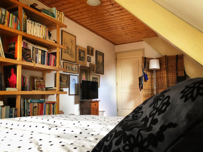 Bedroom 5, B&B Zandhuizen, Weststellingwerf