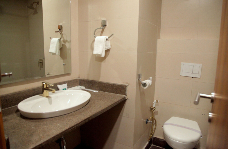 Bathroom 3, Le Roi Jammu, Jammu