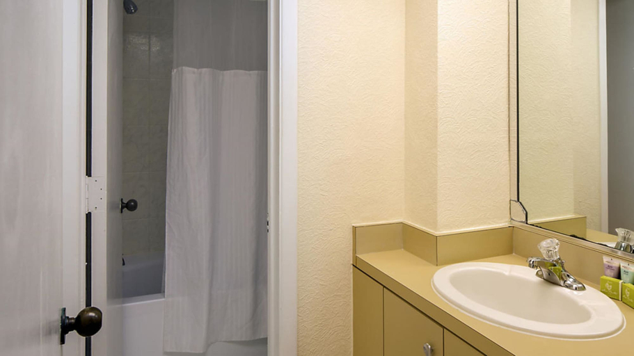 Bathroom 3, Resort Sixty-Six, Manatee