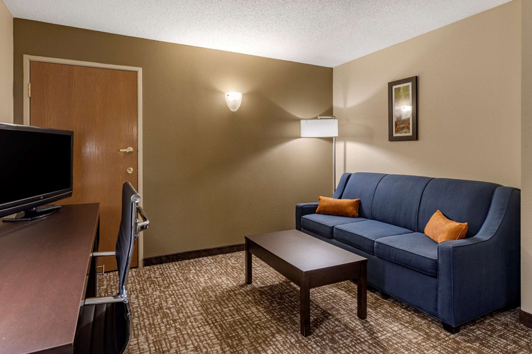 Others 5, Comfort Inn Paducah I-24, McCracken