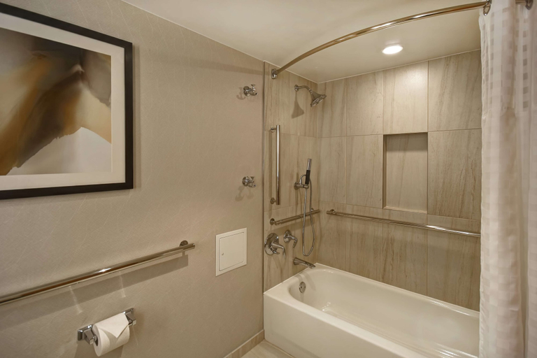 Bathroom 4, Embassy Suites by Hilton Raleigh Durham Research Triangle, Wake