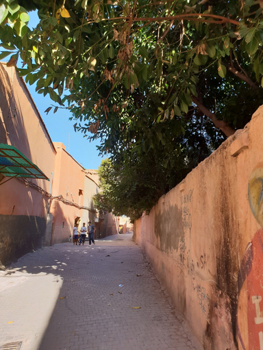 Exterior & Views 2, Dar Warda, Marrakech