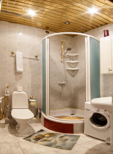 Bathroom 2, Domumetro na Chasovoy, Northern