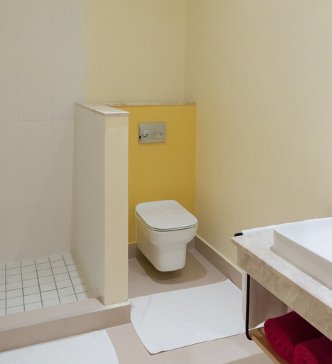Bathroom 3, Residence Praslinoise