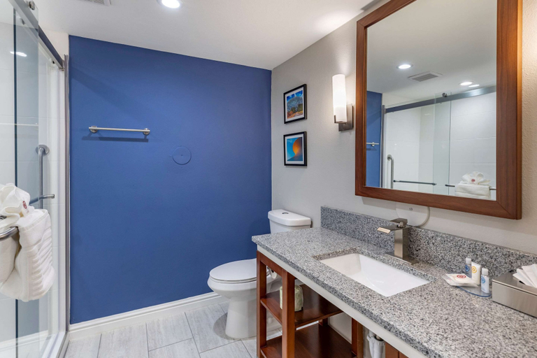Bathroom 4, Comfort Suites St. Louis - Sunset Hills, Saint Louis