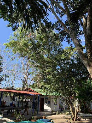 Exterior & Views 2, Casa Campomar, Juan de Acosta