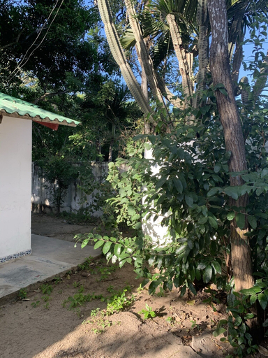 Others 4, Casa Campomar, Juan de Acosta