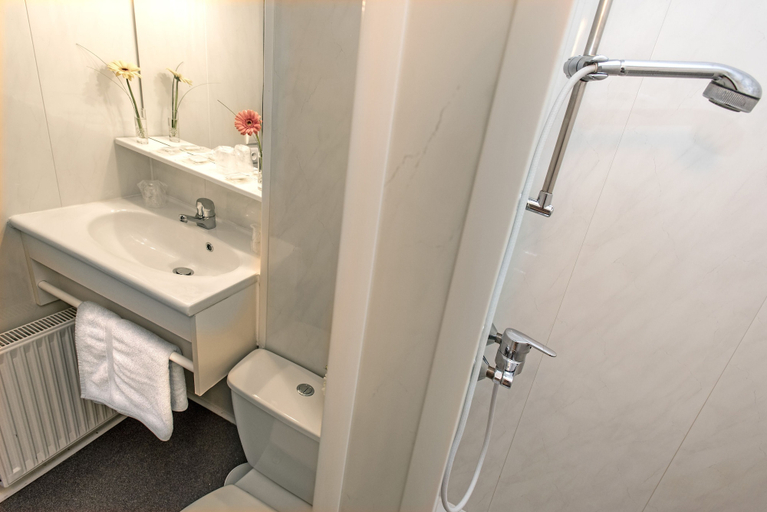 Bathroom 4, Hôtel Eco, Lozère