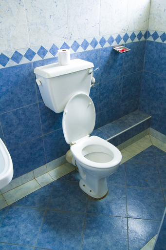 Bathroom 4, Mooreland Hotel Nairobi, Starehe