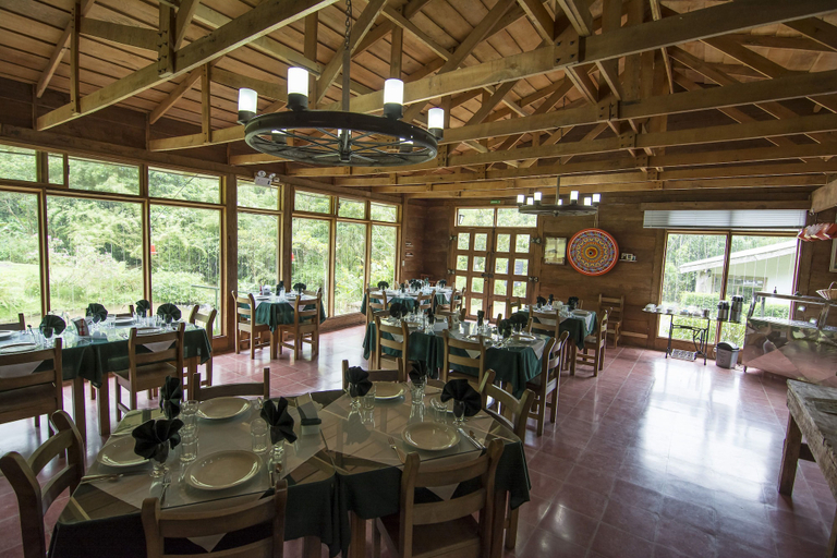 Food & Drinks 3, Bosque de Paz, Alfaro Ruiz