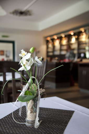 Food & Drinks 4, City-Hotel Friesoythe, Cloppenburg