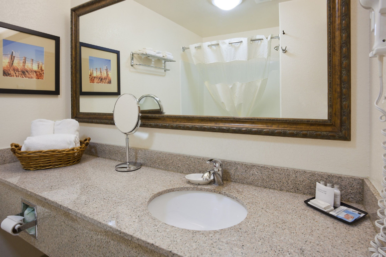 Bathroom 4, Expressway Suites Fargo, Cass