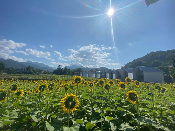 Exterior & Views 5, Green Mountain Resort, Muang Mae Hong Son