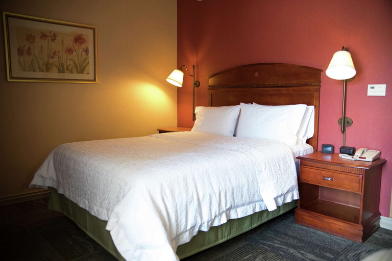 Bedroom 4, Hampton Inn Mountain Home, Baxter