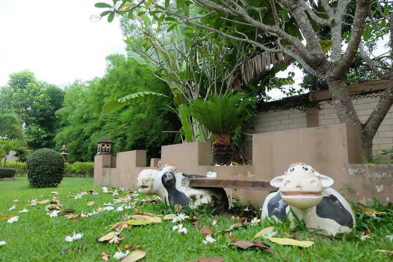 Others 5, Baan Saui Resort, Mae Suai