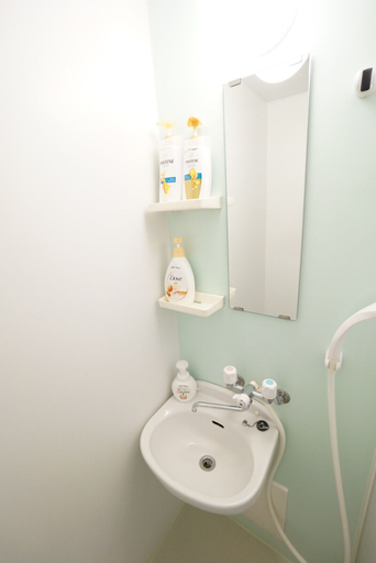Bathroom 3, Terry's Apartment Namba South V C01A, Osaka