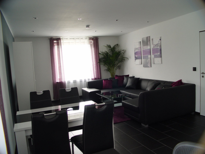 La Domus Superior, Steinfurt