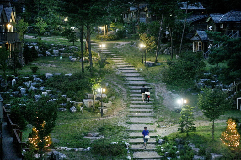 Others 5, Mayfair Pension, Pyeongchang