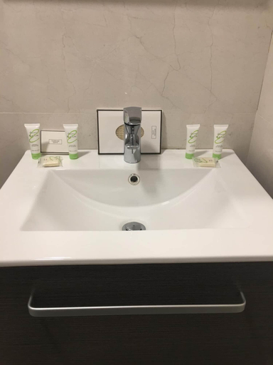 Bathroom 4, Beit Lebbos, Chouf