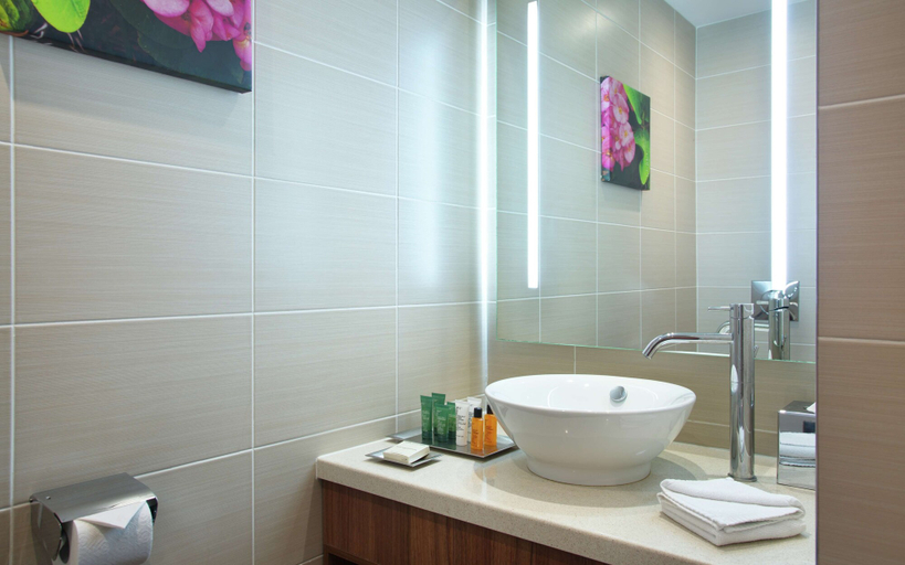 Bathroom 4, Hilton Garden Inn Moscow New Riga, Istrinskiy rayon