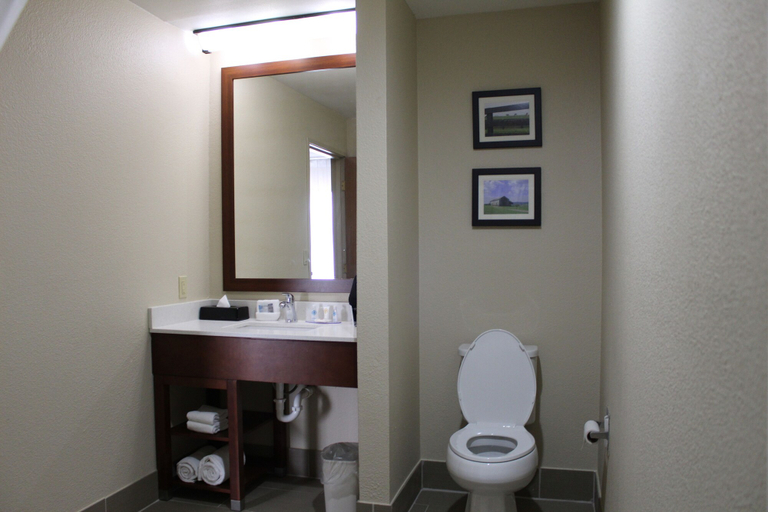 Bathroom 4, Comfort Inn Paducah I-24, McCracken