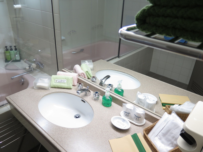 Bathroom 3, Hotel White Inn Kitashiga, Yamanouchi