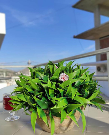 Others 5, Villa Baka, Sarandës