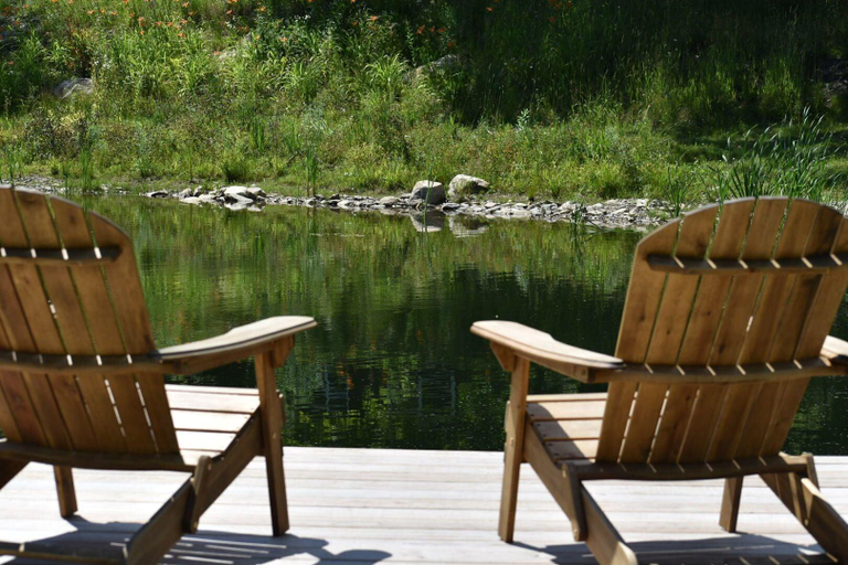 Sport & Beauty 2, Seesaw's Lodge, Bennington