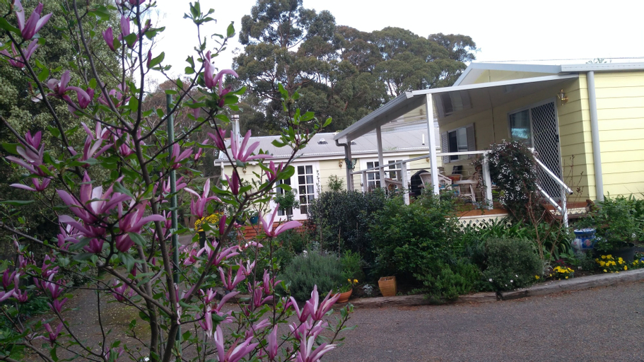 The Best Exotic Magnolia Cottage, Wingecarribee