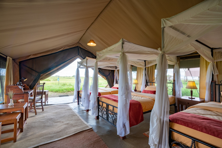 Bedroom 2, Serengeti Woodlands Camp, Serengeti
