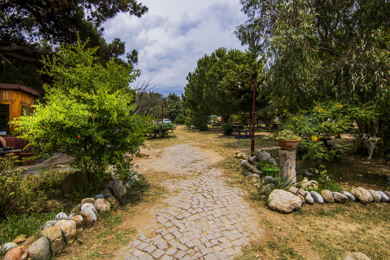 Others 5, Agora Sanat Köyü, Ezine