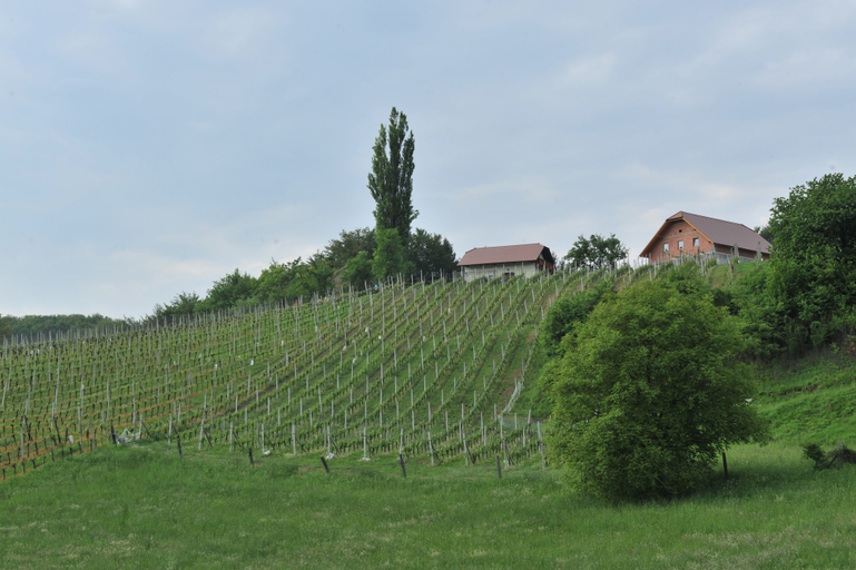 Others 5, Vineyard Cottage Keglic, Šmarje pri Jelšah